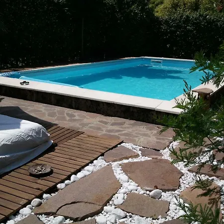 Or With Summer Pool טרוויסו